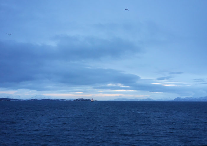 hurtigruten  フッティルーテン、個人旅行で北極圏の旅