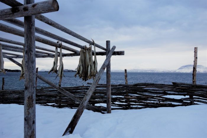 hurtigruten  フッティルーテン、個人旅行で北極圏の旅
ノルウェー